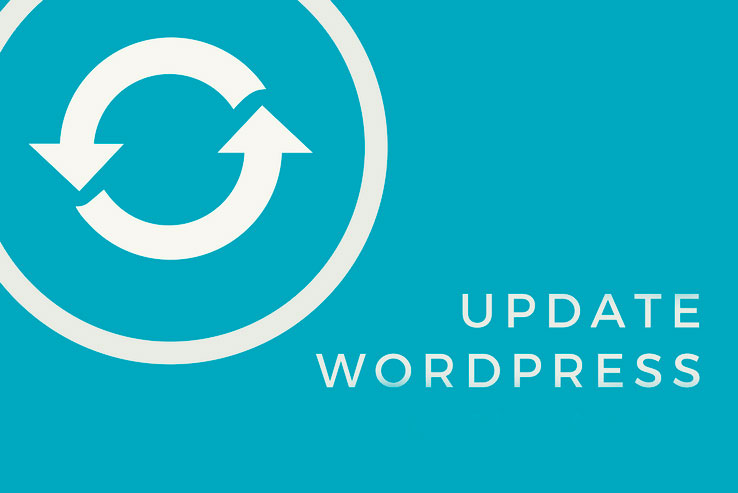 Las Actualizaciones y la Seguridad en Wordpress